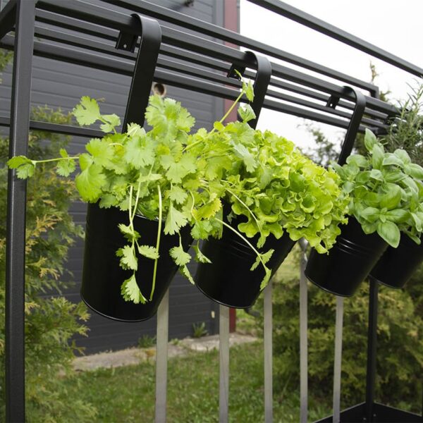 Modulaarne aiaköök "Complex Comfort" - Image 3