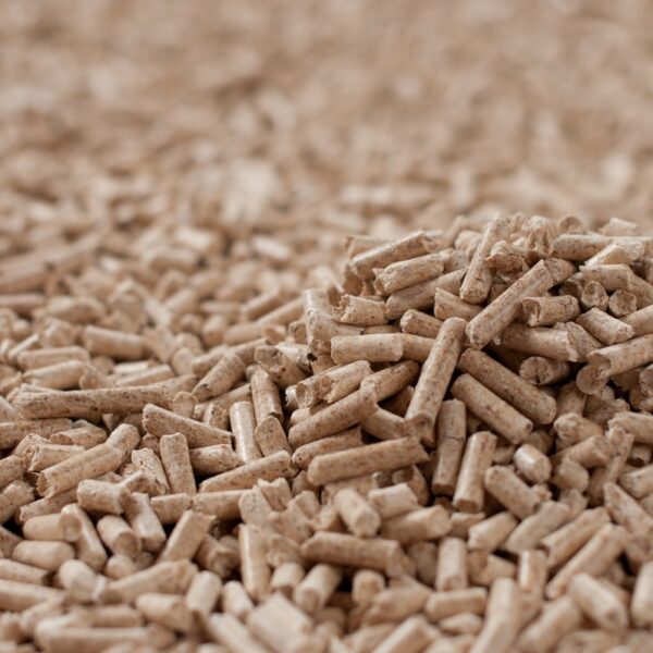 Pelletikaminad
